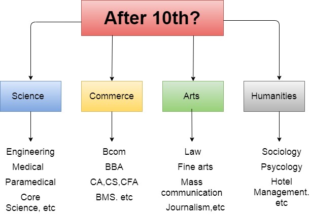 Career After 10th Standard Chart